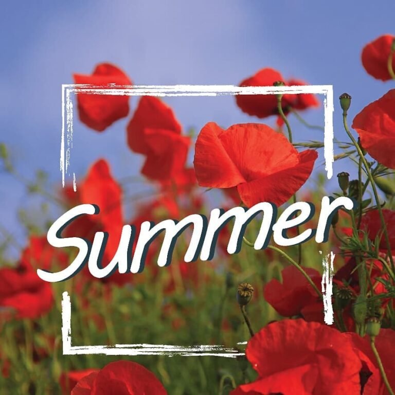 Instagram post from jasonaldrich_. This post is in position 4.